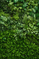 Wall Mural - Close-up background of vibrant green leaves with rich textures, creating a bright and fresh natural atmosphere with an exotic botanical pattern.