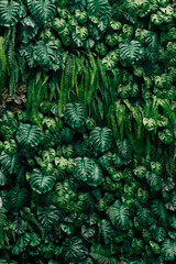 Wall Mural - Close-up background of vibrant green leaves with rich textures, creating a bright and fresh natural atmosphere with an exotic botanical pattern.