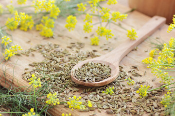 Wall Mural - Fennel seed in wooden spoon on kitchen background with fresh flowers nearby, copy space, natural medicine, drink for breast milk production, sleep and stress care concept