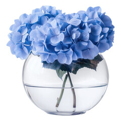 Poster - PNG Blue hydrangeas flower fresh vase.