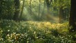 © Pat J. - A serene forest scene with sunlight streaming through the tree canopy, highlighting the natural landscape of plants and grass