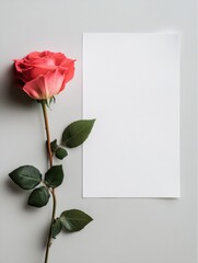 Fototapete - Elegant pink rose beside blank white paper on minimalistic gray background for creative storytelling. Generative AI