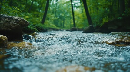 Wall Mural - River flowing through forest, close-up of water over rocks, dense forest backdrop