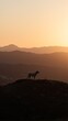 © GMeta - Majestic dog on hill silhouetted against sunrise