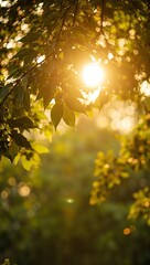 Wall Mural - golden sunlight filtering through tree leaves creating bokeh circles