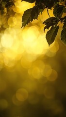Wall Mural - golden sunlight filtering through tree leaves creating bokeh circles