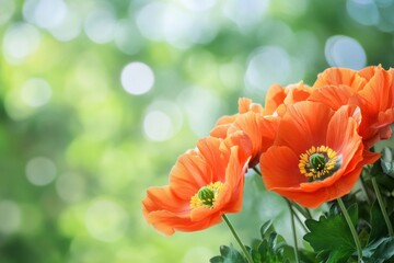 Poster - Vibrant orange flowers stand out against a soft green background in a peaceful garden setting. Generative AI