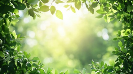 Poster - Sunlight filtering through green leaves creating a peaceful natural atmosphere in a forest setting. Generative AI