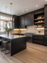 Poster - Sleek black cabinetry in a high-end modern kitchen, showcasing contemporary design and elegance.