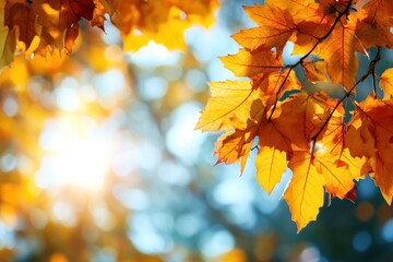 Aufkleber - Golden autumn leaves glowing in sunlight with a soft background blur. Generative AI