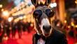 © Joko - Donkey in Sunglasses on Red Carpet
