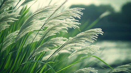 Aufkleber - Elegant grass swaying by the water's edge captured in warm sunlight against a lush background : Generative AI