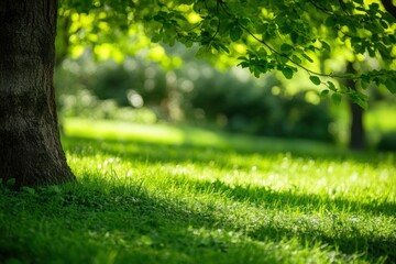 Poster - Lush green grass and vibrant leaves create a serene atmosphere in a park during a sunny afternoon. Generative AI