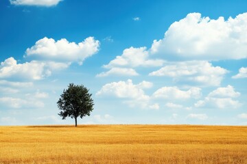 Leinwandbilder - Solitary tree stands in golden field under bright blue sky with fluffy clouds on a sunny day. Generative AI