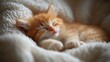 Adorable ginger kitten peacefully sleeping on a soft white blanket.