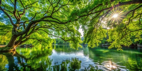 Wall Mural - Serene Lakeside Vista: Lush Green Branches Over Tranquil Water