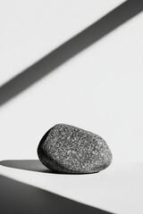 Wall Mural - A speckled grey stone rests on a white surface