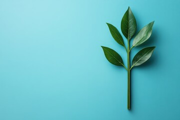 Poster - Single green stem with leaves on a light cyan background minimalist nature concept design
