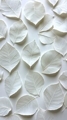 Poster - Delicate white leaves arranged in a pattern creating a serene and minimalist natural background