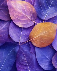 Poster - Autumn leaves in purple and gold hues create a vibrant and textured abstract background