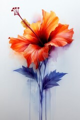 Poster - Orange hibiscus flower with blue purple leaves, watercolor painting style, white background, artistic rendering of a tropical bloom