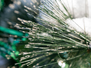 Poster - A green pine tree with snow on it