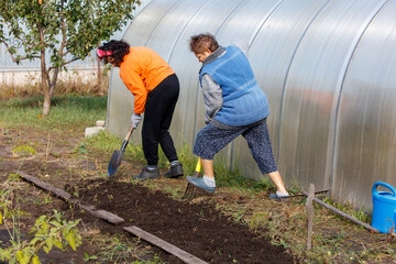 Wall Mural - Two women are working in a greenhouse