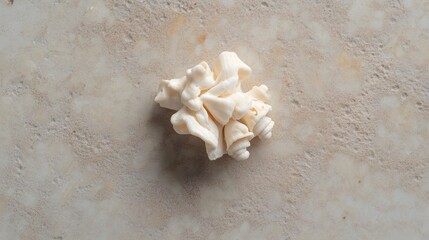 Wall Mural - Unique White Seashell Cluster on Beige Textured Background