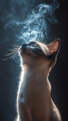 Poster - Siamese cat exhaling smoke with the word 'meow' subtly visible in the swirling patterns against a dark backdrop capturing sharp details and dramatic lighting on the cat's features