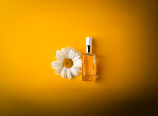 Poster - A single chamomile flower rests beside a small, rectangular bottle of golden liquid against a vibrant yellow background.  The image evokes feelings of natural beauty and tranquility.
