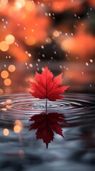 Poster - Vibrant red maple leaf floats on a glassy water surface reflecting perfectly Golden bokeh highlights soft rain falling creating ripples with warm tones of autumn trees softly blurred in the background