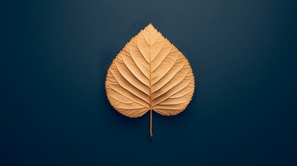 Wall Mural - Single Golden Autumn Leaf on Dark Blue Background Minimalist Photography