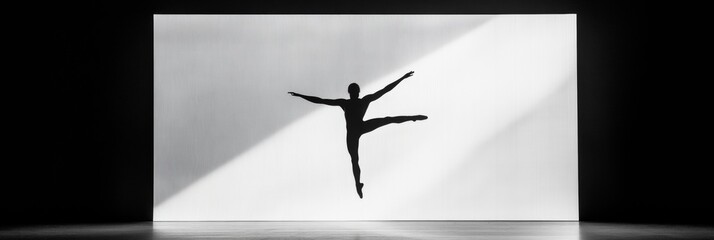 Poster - Minimalist Black and White Dance Shadow on Bright Backdrop - Social Media Vitality Content and Dynamic Marketing for Youthful Lifestyle Brands