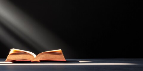 Leinwandbilder - Ethereal Light on Open Book Illuminating Environmental Law Wisdom for Educational Marketing and Eco-Conscious Publishing - Textured Knowledge Sharing Platform