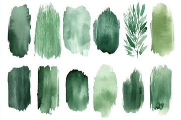 Poster - Various shades of green watercolor textures with botanical elements on a white background