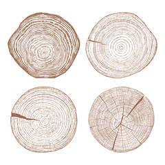 Wall Mural - Tree wood texture. Wooden old trunk. Cut timber log. Abstract rings nature pattern. Brown circle stump. Wood cross section. Set vector.