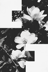 Poster - minimalist collage featuring geometric shapes and floral elements in black and white design