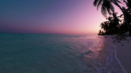 Poster - Sunset over turquoise shores with palm trees casting long shadows on the white sand, the sky shifting from orange to pink.