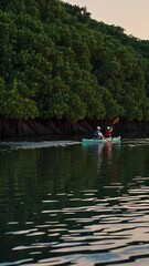 Poster - A tranquil coastal lagoon surrounded by mangroves, where kayakers glide across still, reflective water in soft evening light.
