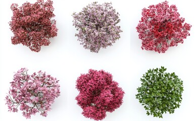 Leinwandbilder - 3D top view of flourishing trees and shrubs featuring red and white flowers, isolated on a white background, suitable for graphic design visualization