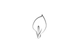 calla lily flower line art style