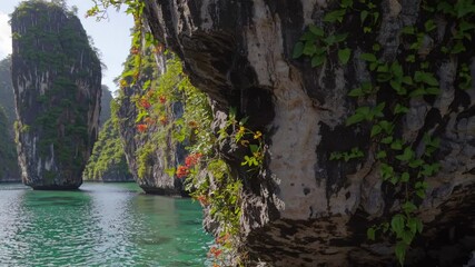 Poster - A secluded cove with towering limestone pillars rising from emerald-green waters, tropical vegetation clinging to their cliffs.
