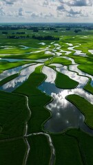 Poster - A sweeping aerial view of emerald rice paddies crisscrossed by narrow paths, each flooded section reflecting white clouds.