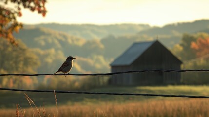 Aufkleber - A single bird perched on a wire, with a picturesque barn and rolling hills in the background, capturing the peacefulness of rural life.