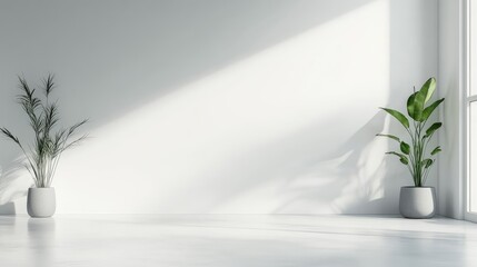 Poster - A wide-screen white gradient with a blurred backdrop, offering a sleek, minimal background with plenty of space for contemporary designs.