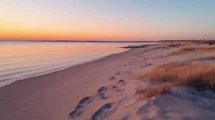 Poster - Footprints in the sand stretch toward the sunrise, with the calm ocean in the background and the soft hues of the early morning light.