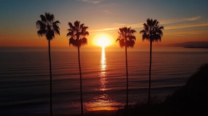 Poster - Palm trees stand in silhouette as the sun sets over the ocean, casting a beautiful glow across the calm waters.