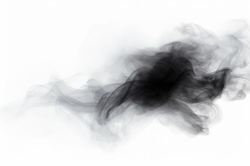 Poster - abstract black smoke on a white background showcasing transparency and fluid movement, perfect for c