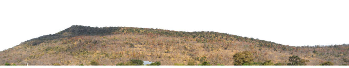 Leinwandbilder - Rocky hill with summer forest isolated on transparent background with clipping path and alpha channel..