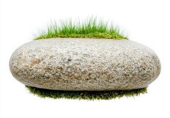 Canvas Print - A single, smooth, light gray stone rests atop a bed of bright green moss, isolated against a pure white background. The stone has a slightly oval